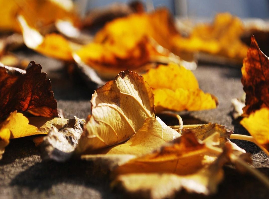 Navigating the Landscape: Platforms, Ethics, and Safety