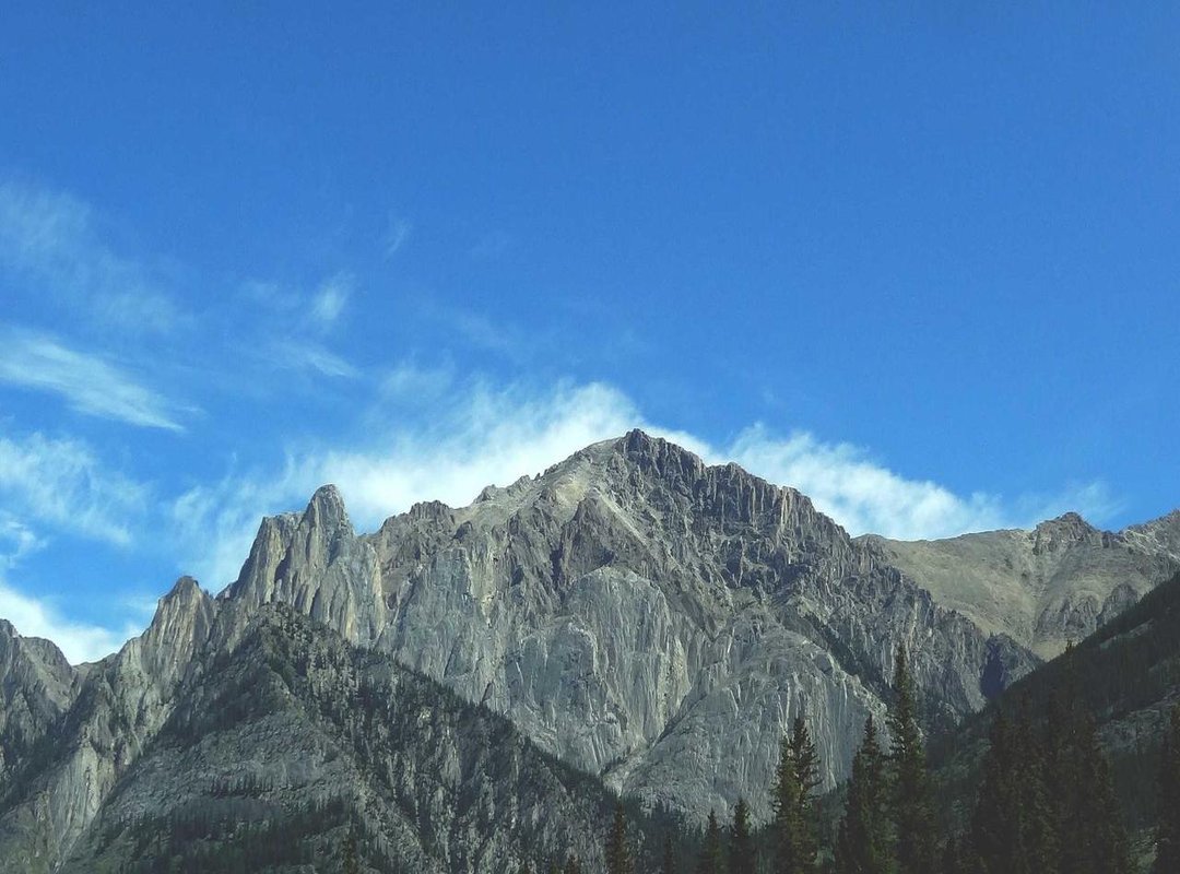 Discover the Global Phenomenon: The Story of 'Guli Mata'