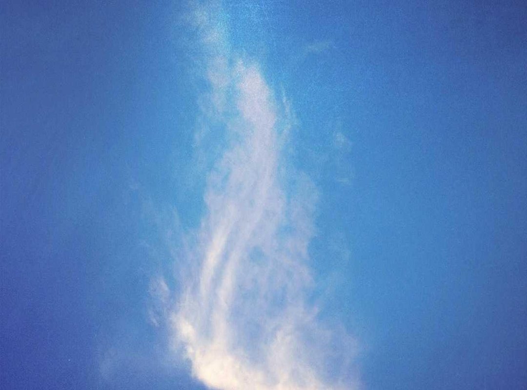 Beyond the Gym: The Lifestyle Changes Behind Her Transformation