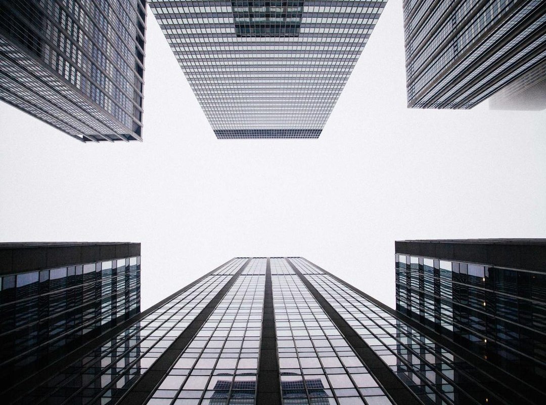 Fan Community Focus: Why Viewers Notice Specific Details