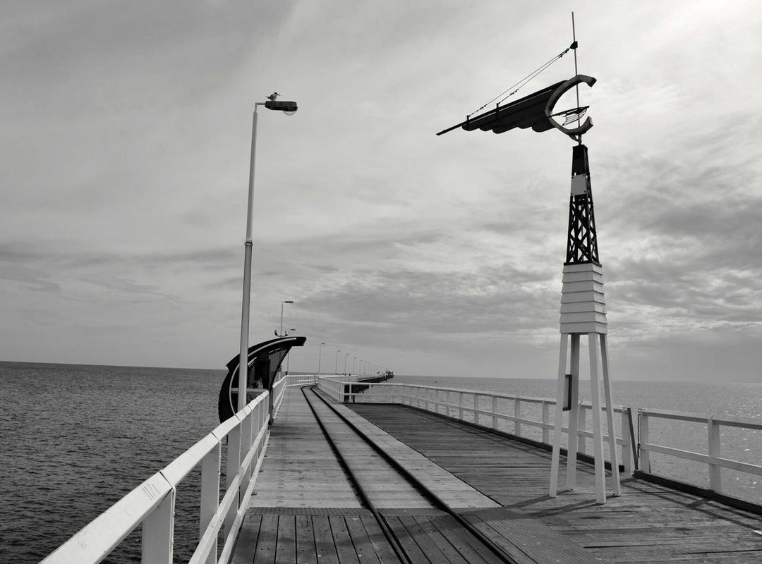 First Steps Inside: Navigating Your doTERRA Dashboard