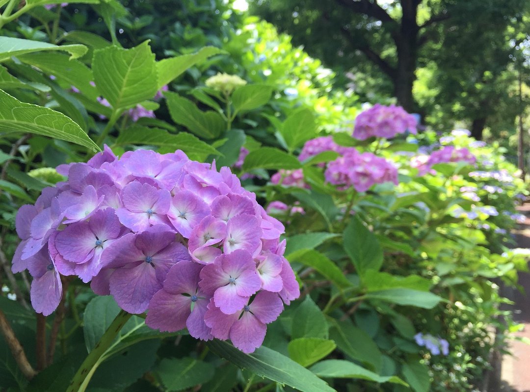 Navigating the Dating World After a High-Profile Divorce