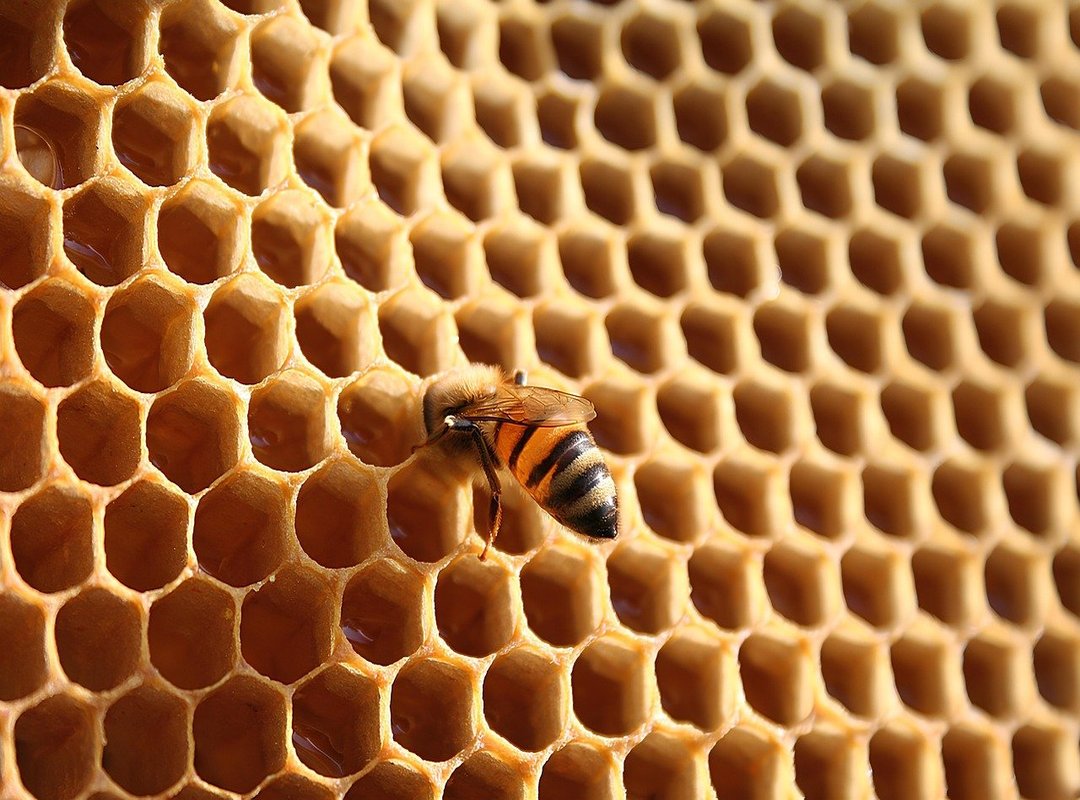 Bringing Your Character to Life with Details and Color