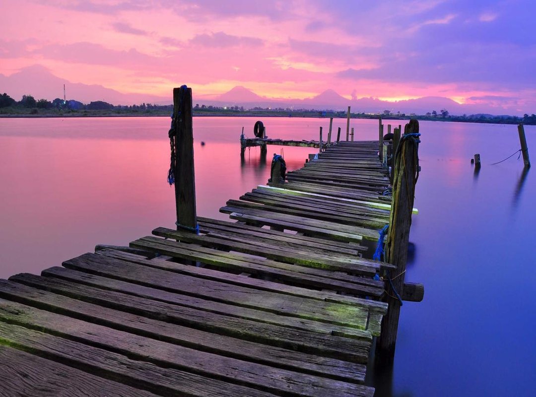 Step-by-Step Guide: Drawing Stitch's Head and Face